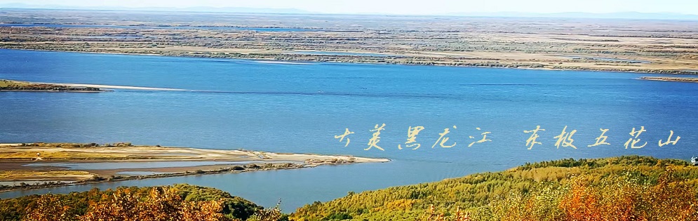 东极抚远网 幻灯图片首页新