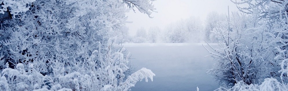 东极抚远雪景