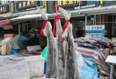黑龙江抚远:东极鱼市年货丰 江鲜美味迎新春